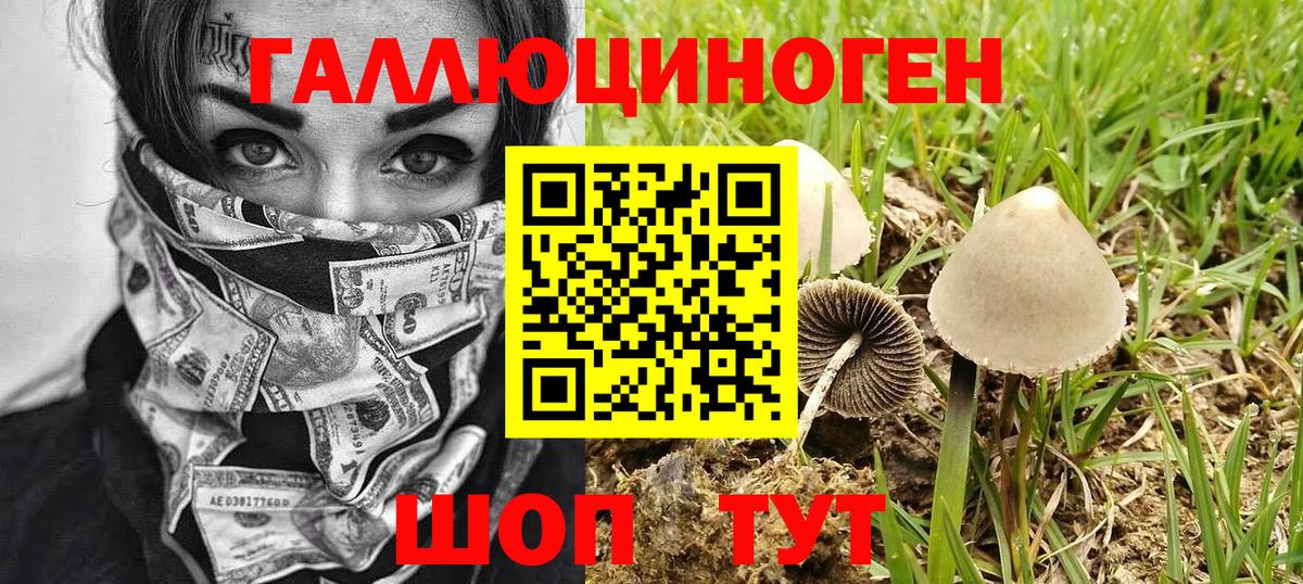 Псилоцибиновые грибы Cubensis  Вход с VPN  Скопин 